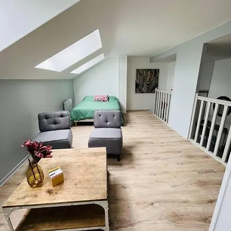 Centre 公寓 巴勒迪克